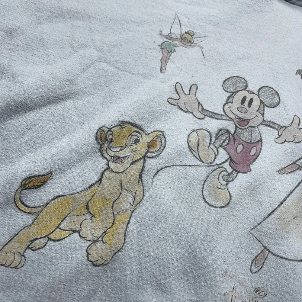 Disney 100 Anniversary Hoodie Youth XL Mickey Lion King Mulan Blue Sweatshirt
